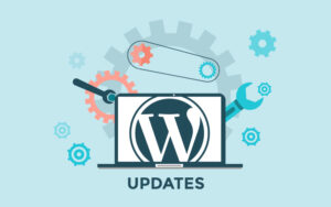 Importance of WordPress Updates