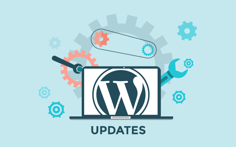 Importance of WordPress Updates